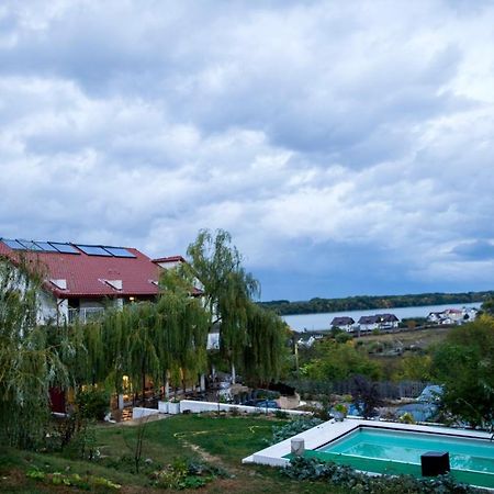Pensiunea 4 Salcii Băltenii de Sus エクステリア 写真