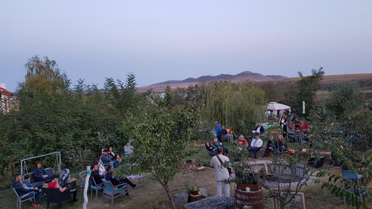 Pensiunea 4 Salcii Băltenii de Sus エクステリア 写真