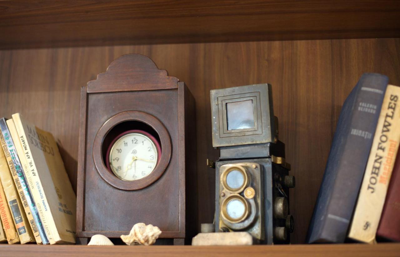 Pensiunea 4 Salcii Băltenii de Sus エクステリア 写真