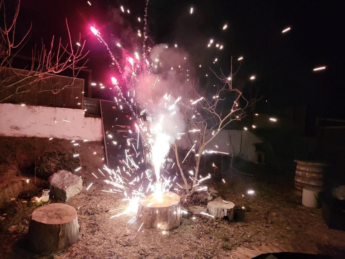 Pensiunea 4 Salcii Băltenii de Sus エクステリア 写真